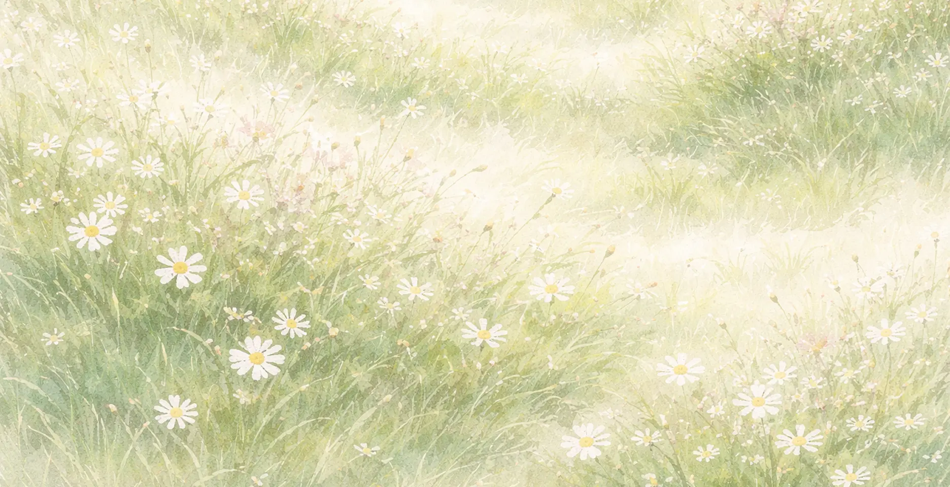 Meadow with daisies